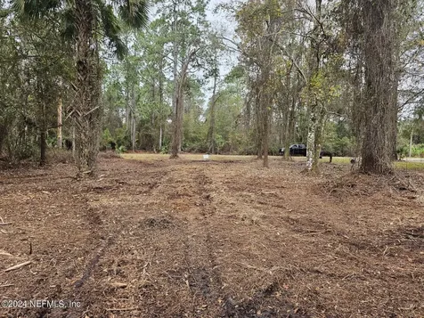 534 Palm Way Georgetown FL 32139