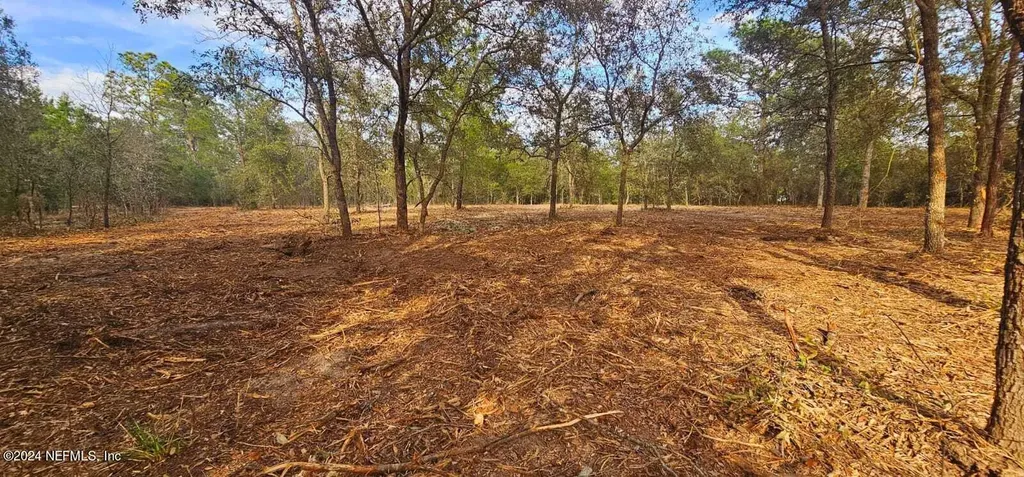 0 Lily Trail Interlachen FL 32148