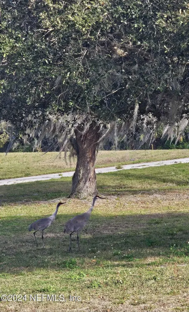 0 Lily Trail Interlachen FL 32148