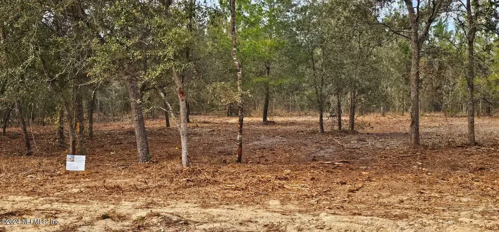 0 Lily Trail Interlachen FL 32148