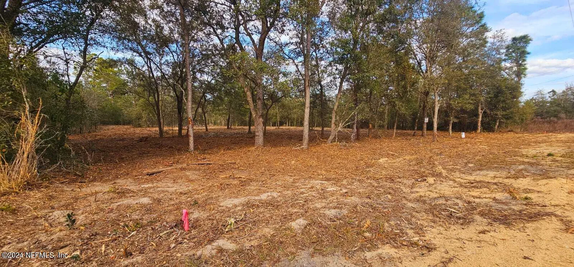 0 Lily Trail Interlachen FL 32148