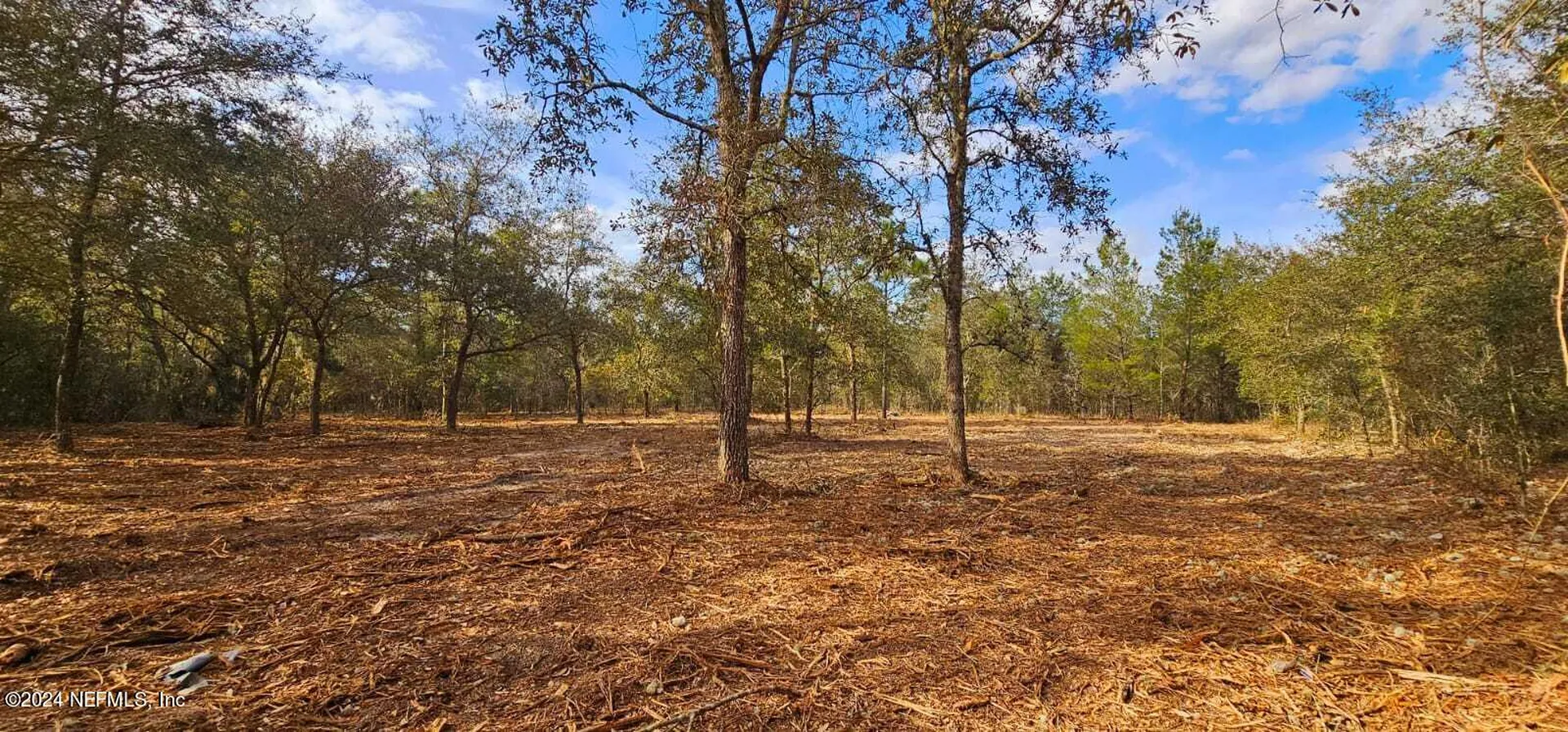 0 Lily Trail Interlachen FL 32148