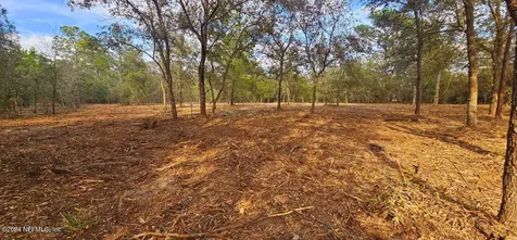 0 Lily Trail Interlachen FL 32148
