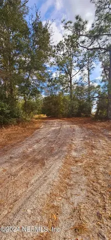 0 Lily Trail Interlachen FL 32148