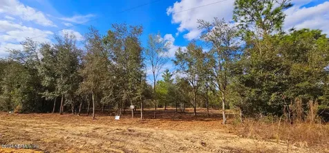 0 Lily Trail Interlachen FL 32148
