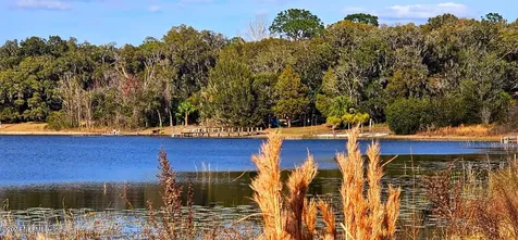 0 Lily Trail Interlachen FL 32148