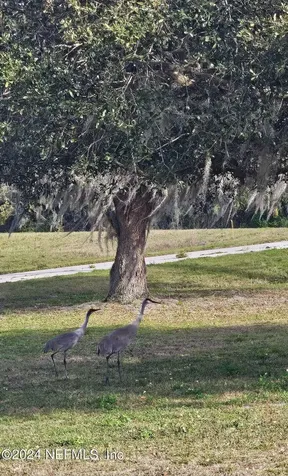 0 Lily Trail Interlachen FL 32148