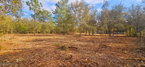 0 Lily Trail Interlachen FL 32148