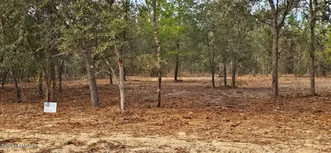 0 Lily Trail Interlachen FL 32148