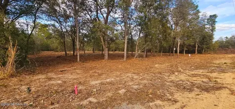 0 Lily Trail Interlachen FL 32148