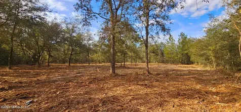 0 Lily Trail Interlachen FL 32148