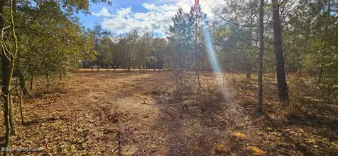 0 Lily Trail Interlachen FL 32148