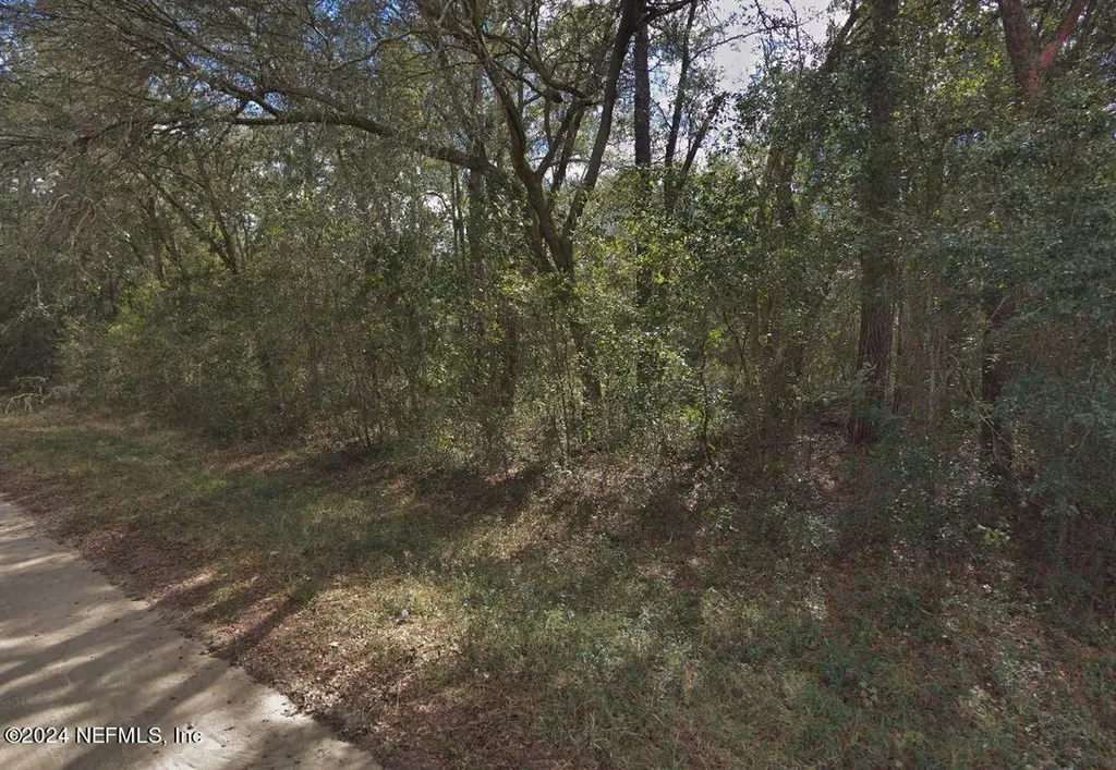 141 Sigman Street Florahome FL 32140