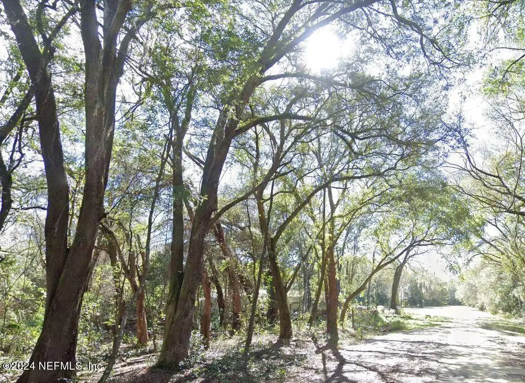 Lots 6 & 7 Gladys Avenue Interlachen FL 32148