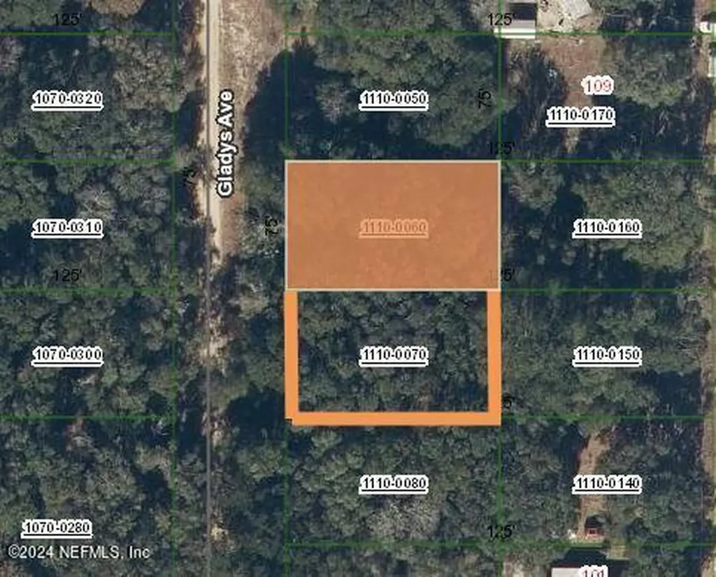 Lots 6 & 7 Gladys Avenue Interlachen FL 32148