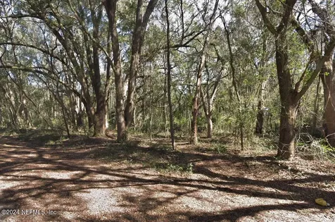 Lots 6 & 7 Gladys Avenue Interlachen FL 32148