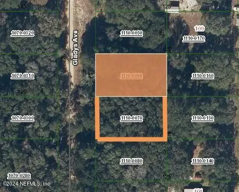 Lots 6 & 7 Gladys Avenue Interlachen FL 32148