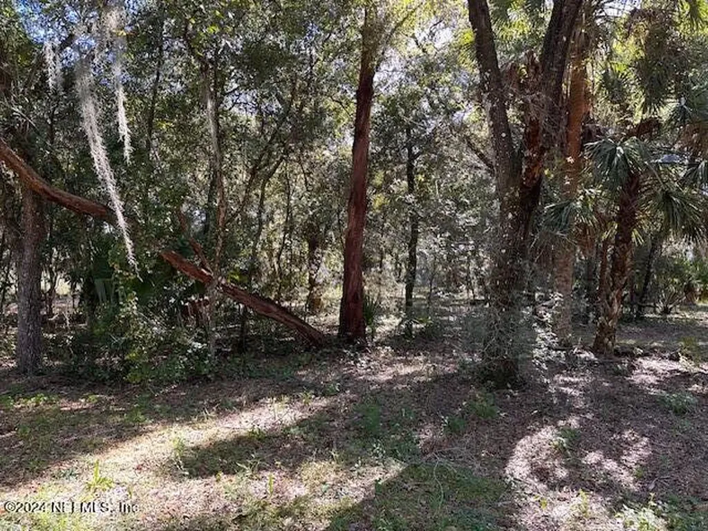 000-09 SE 265th Court Road Umatilla FL 32784