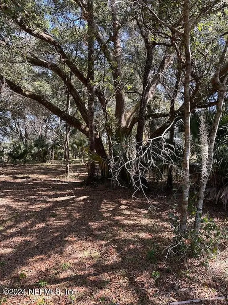 000-09 SE 265th Court Road Umatilla FL 32784