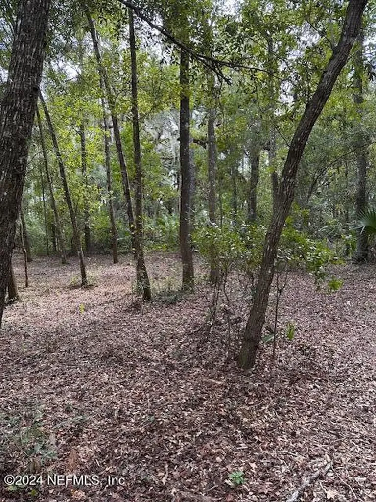 000-09 SE 265th Court Road Umatilla FL 32784