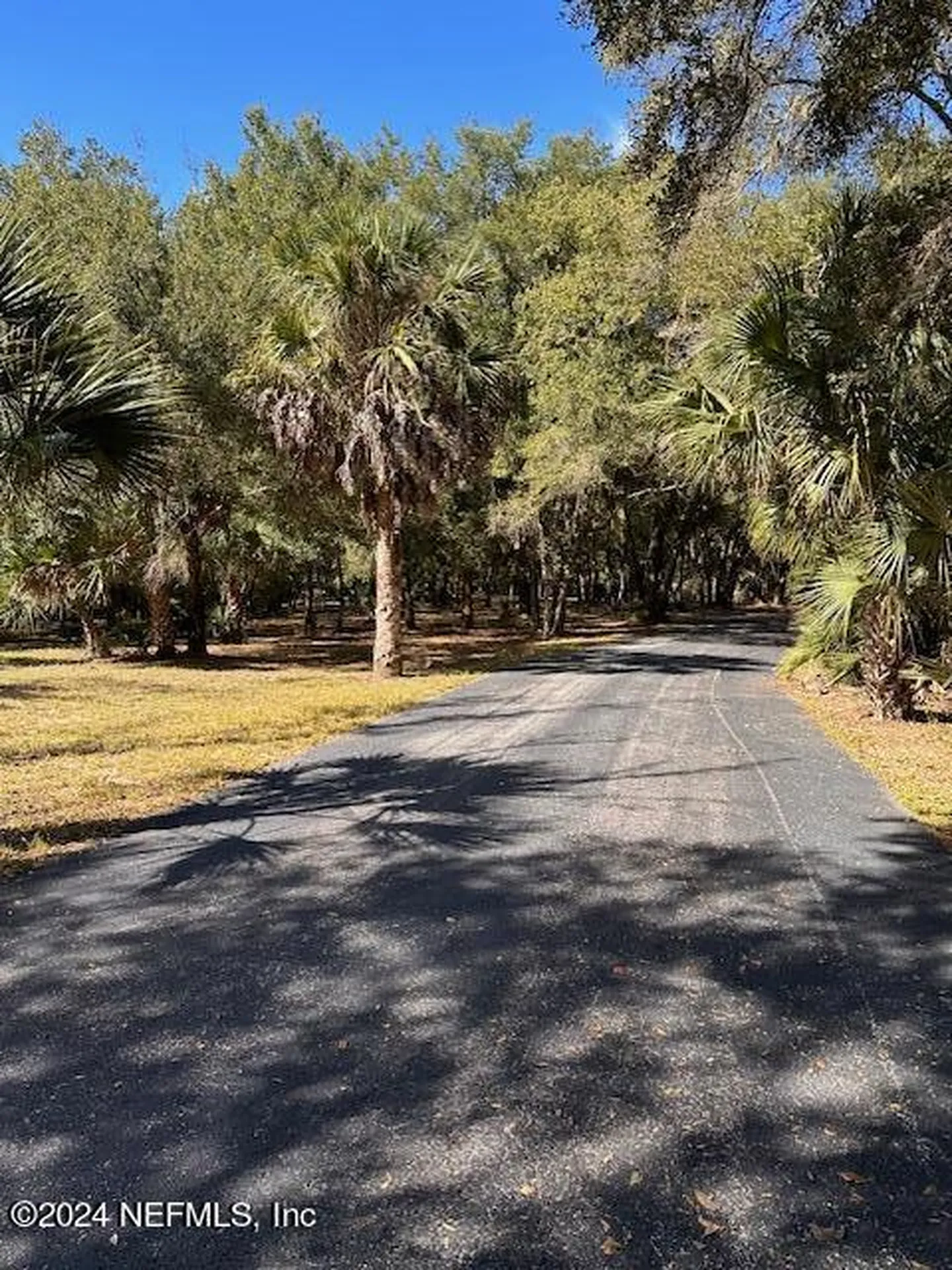 000-09 SE 265th Court Road Umatilla FL 32784