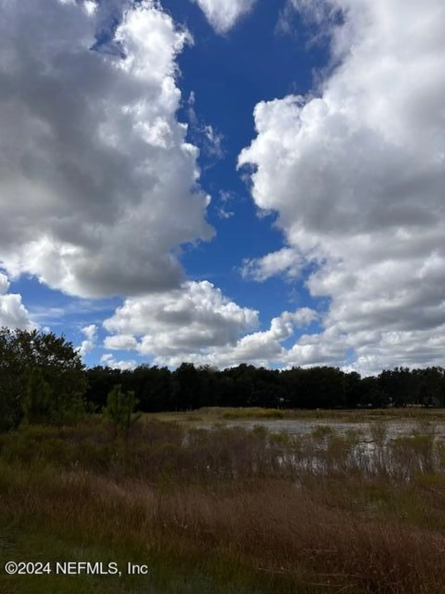 000-09 SE 265th Court Road Umatilla FL 32784