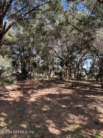 000-09 SE 265th Court Road Umatilla FL 32784
