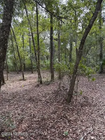 000-09 SE 265th Court Road Umatilla FL 32784