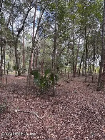 000-09 SE 265th Court Road Umatilla FL 32784