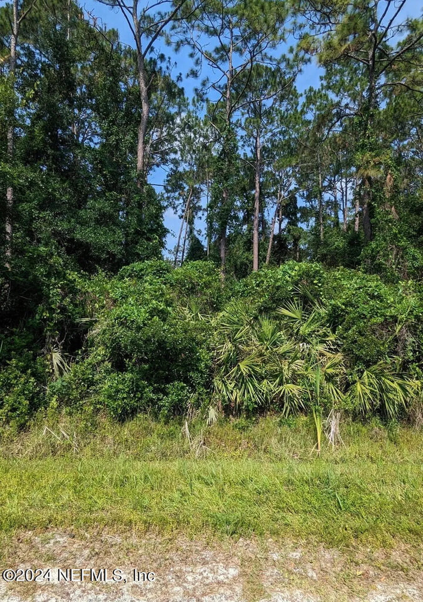 00 Roddy Road Palatka FL 32177