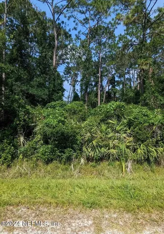 00 Roddy Road Palatka FL 32177