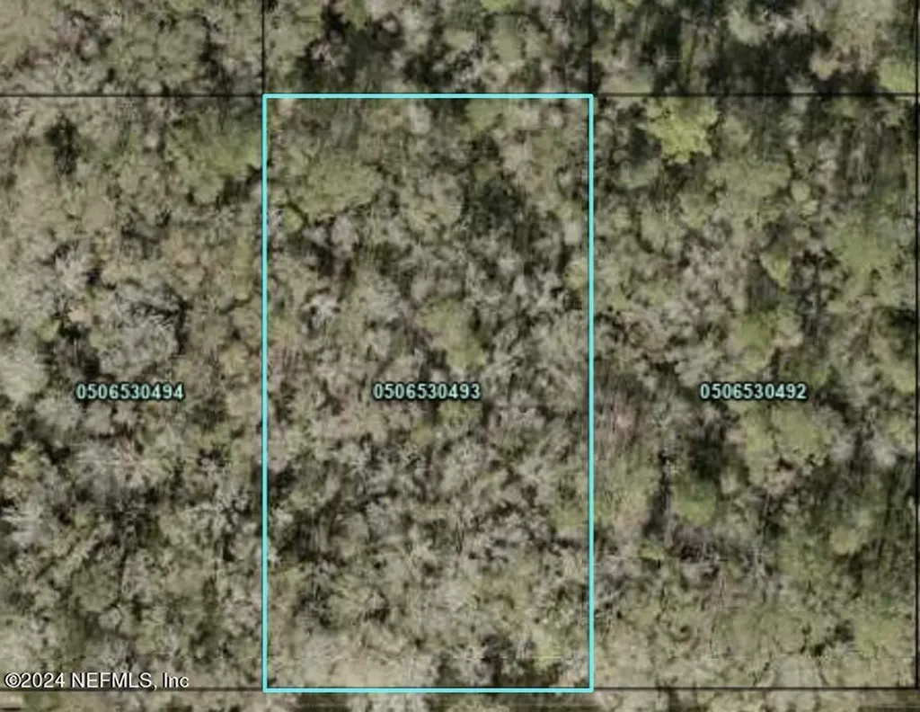 4620 Calvin Street Hastings FL 32145