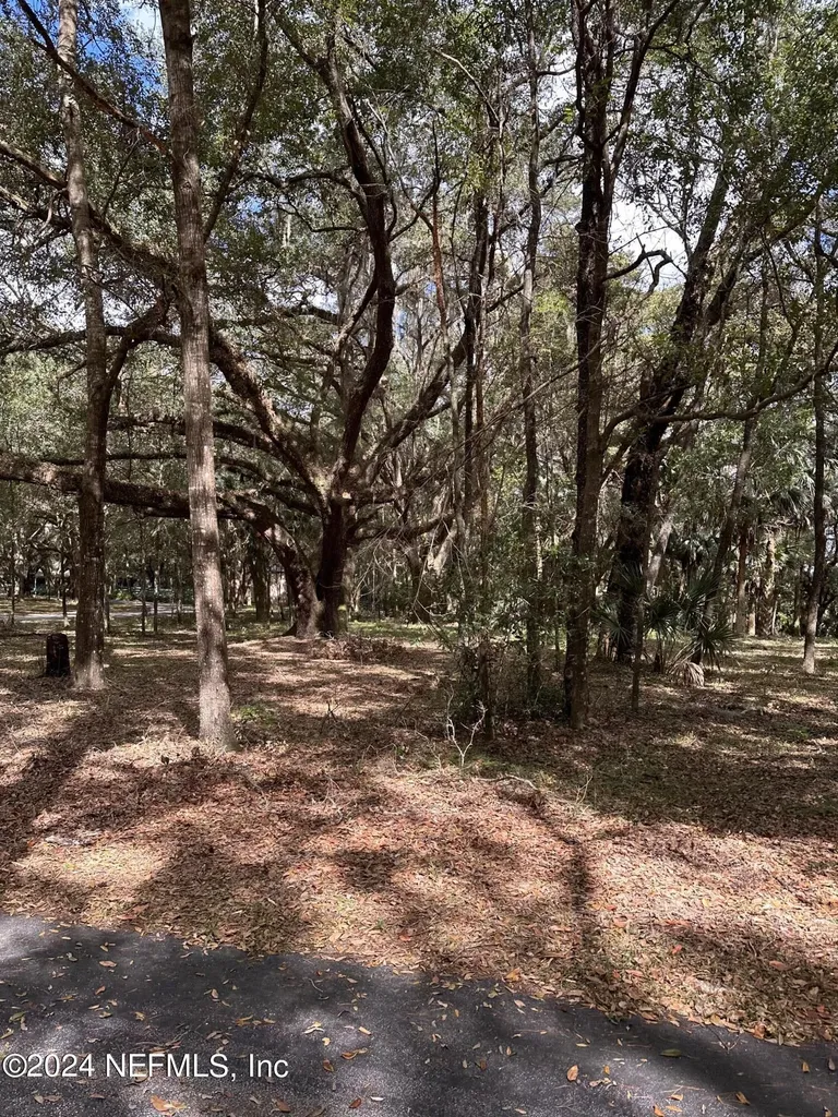 000-08 SE 265th Court Road Umatilla FL 32784