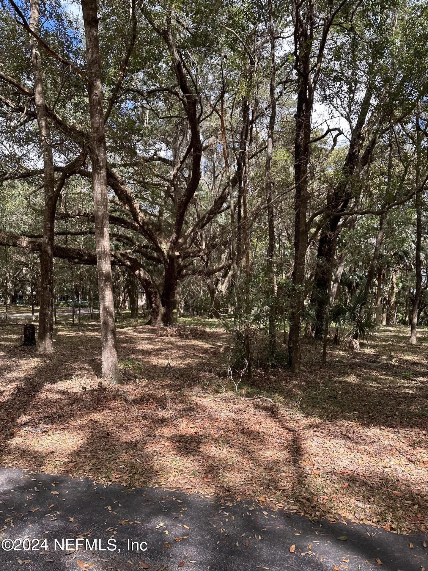 000-08 SE 265th Court Road Umatilla FL 32784