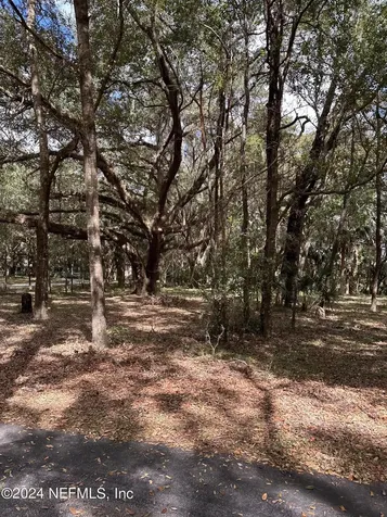 000-08 SE 265th Court Road Umatilla FL 32784