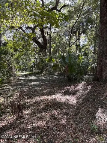 000-08 SE 265th Court Road Umatilla FL 32784