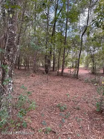 000-08 SE 265th Court Road Umatilla FL 32784