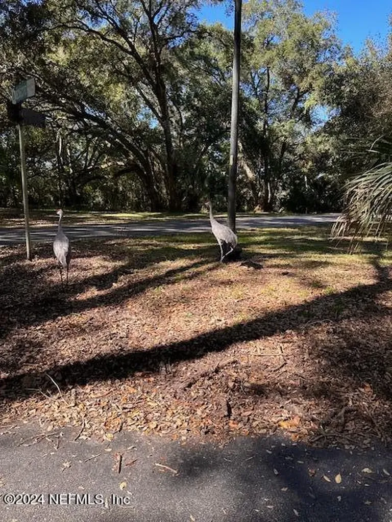 000-13 SE 265th Court Road Umatilla FL 32784