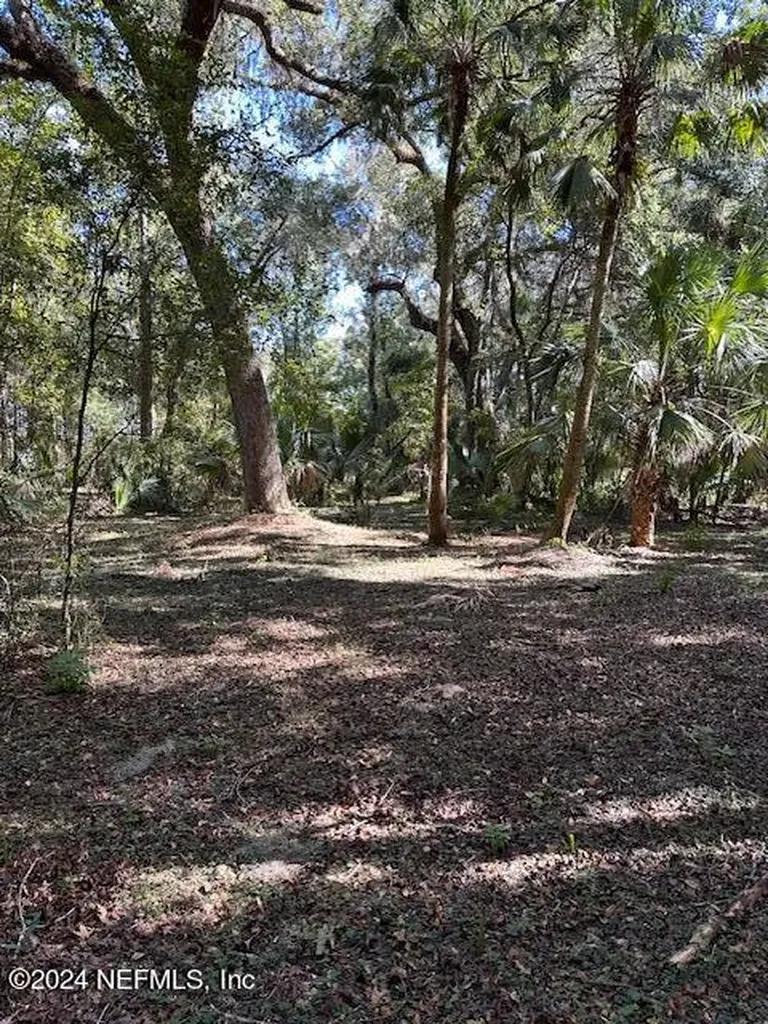 000-13 SE 265th Court Road Umatilla FL 32784