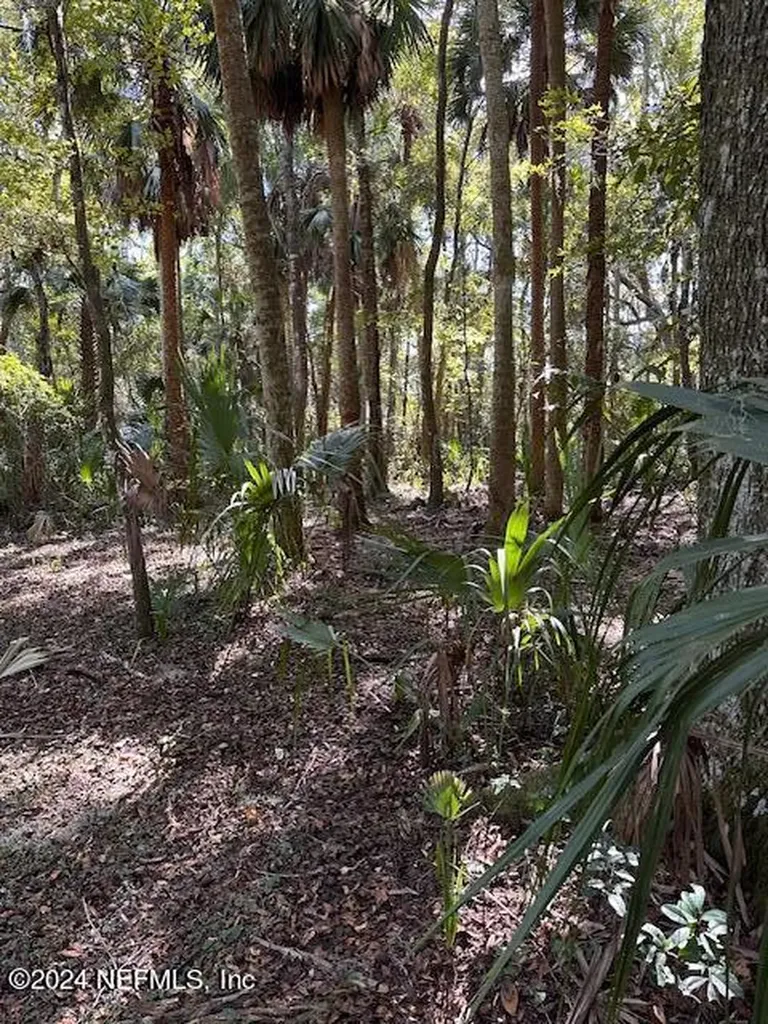 000-13 SE 265th Court Road Umatilla FL 32784
