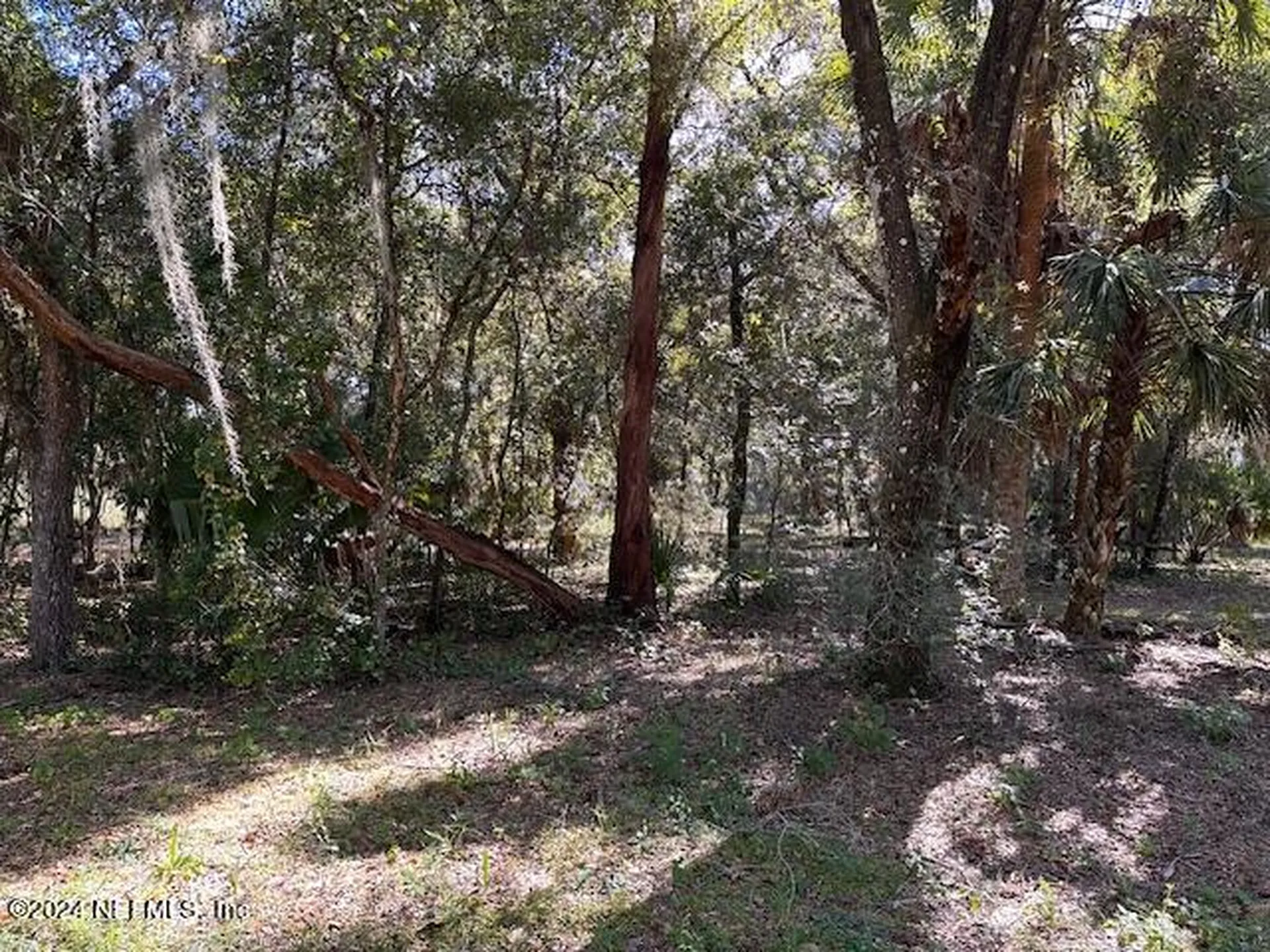 000-13 SE 265th Court Road Umatilla FL 32784
