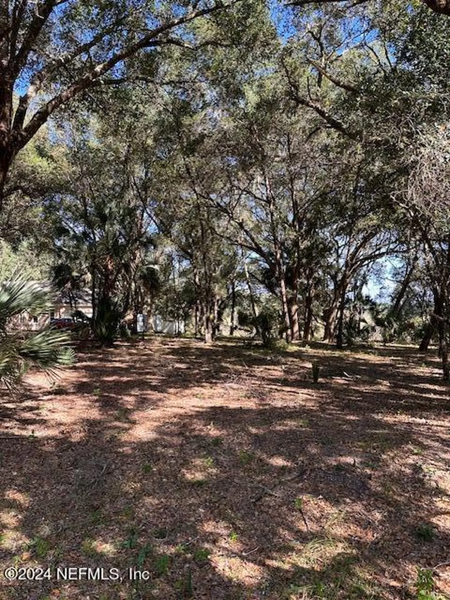 000-13 SE 265th Court Road Umatilla FL 32784