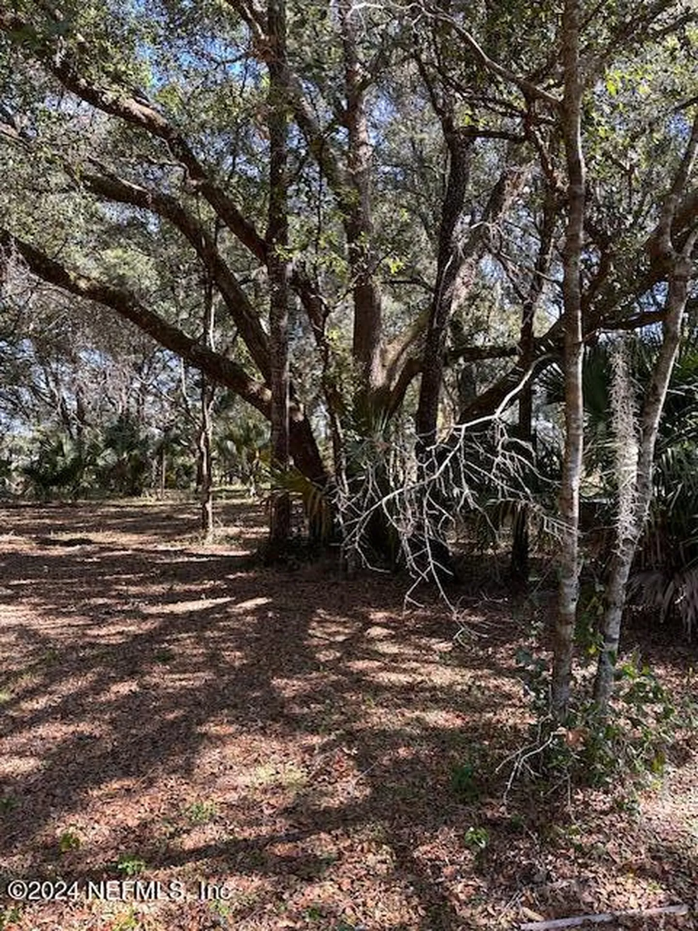 000-13 SE 265th Court Road Umatilla FL 32784