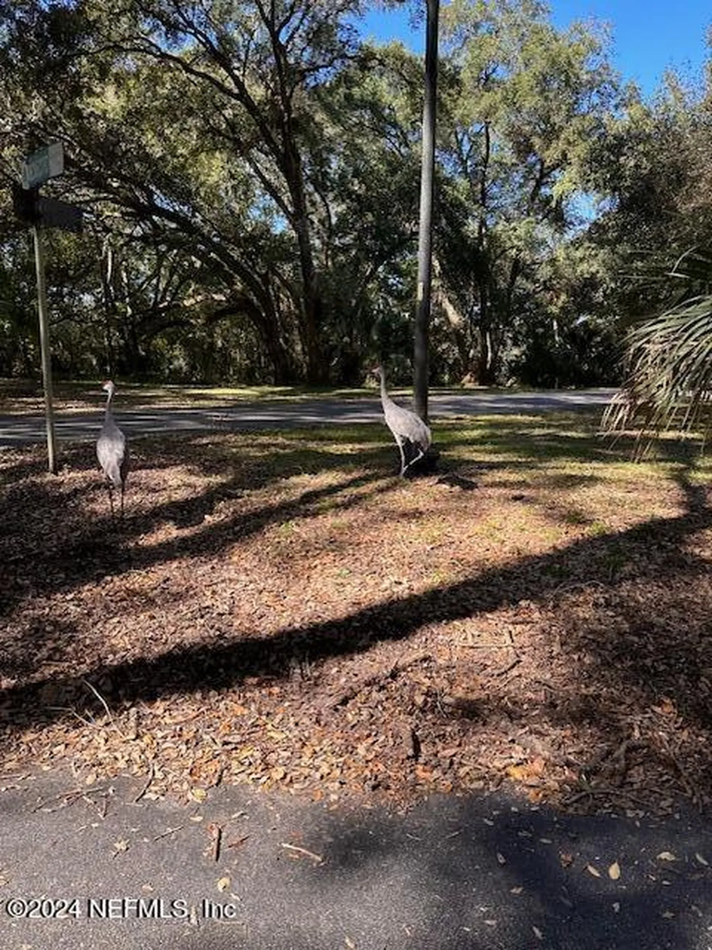 000-13 SE 265th Court Road Umatilla FL 32784