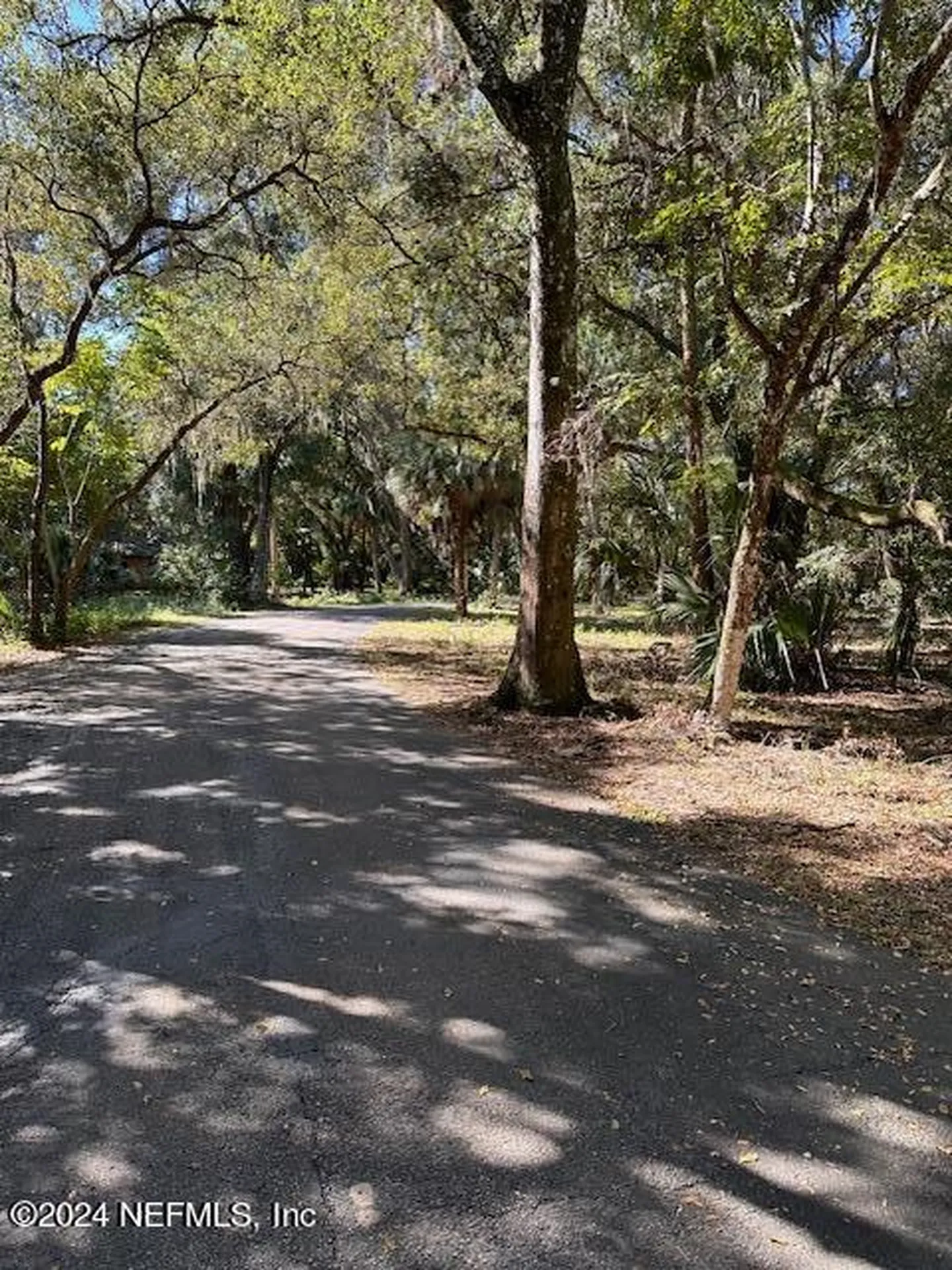 000-13 SE 265th Court Road Umatilla FL 32784