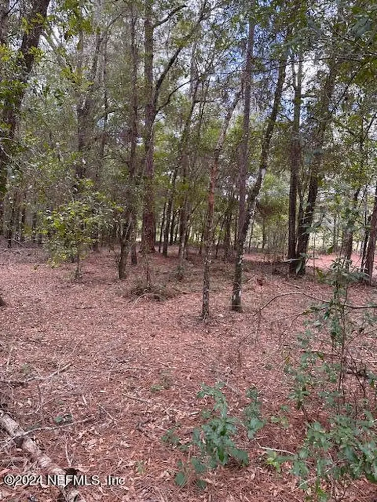 000-11 SE 265th Court Road Umatilla FL 32784