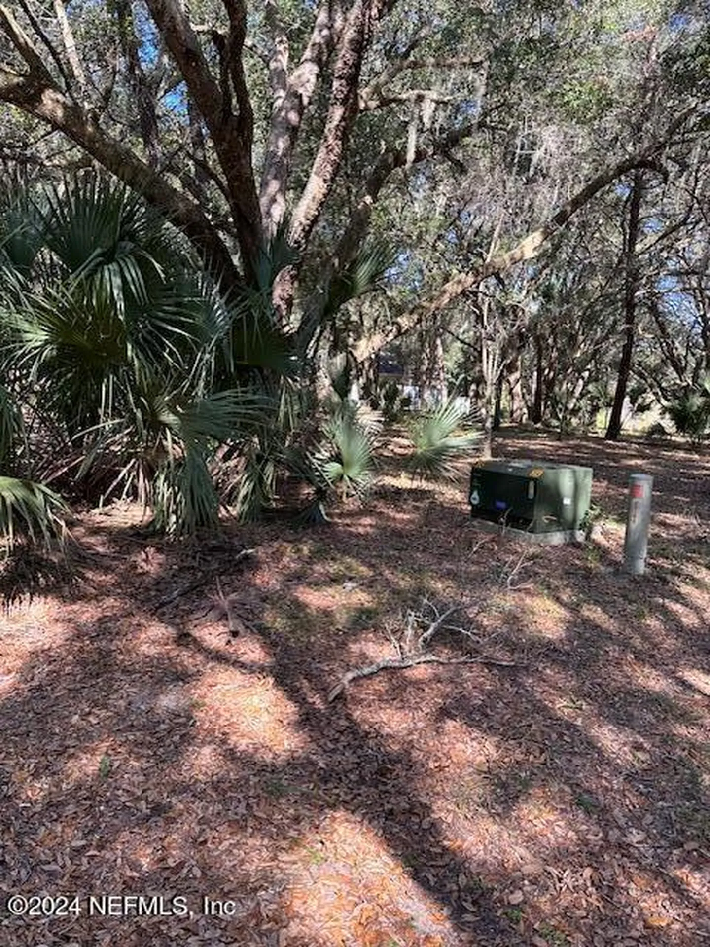 000-11 SE 265th Court Road Umatilla FL 32784