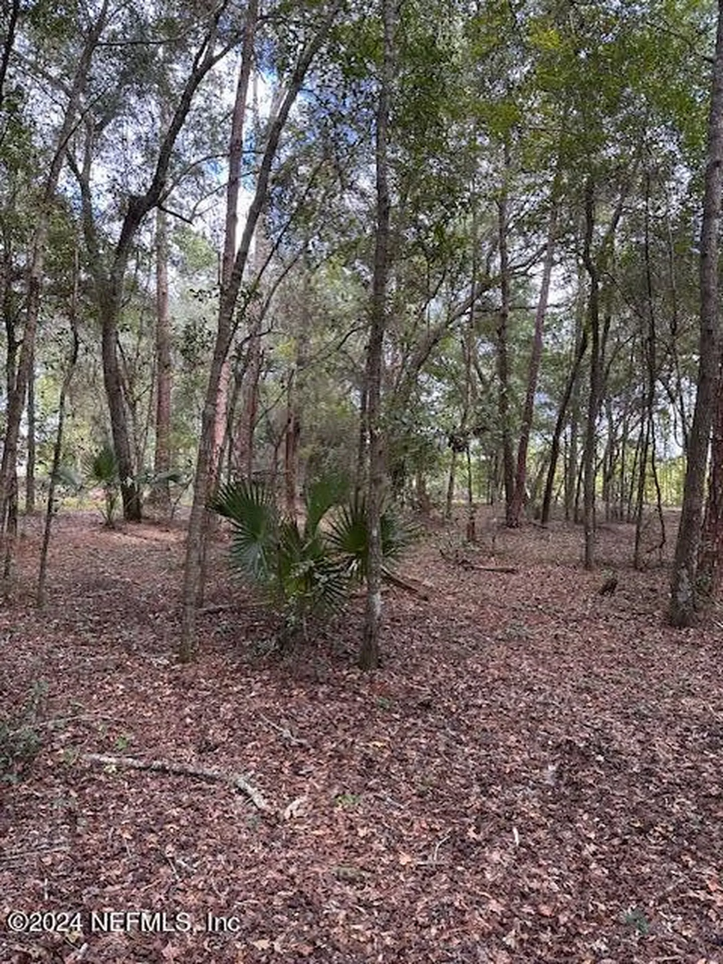 000-11 SE 265th Court Road Umatilla FL 32784