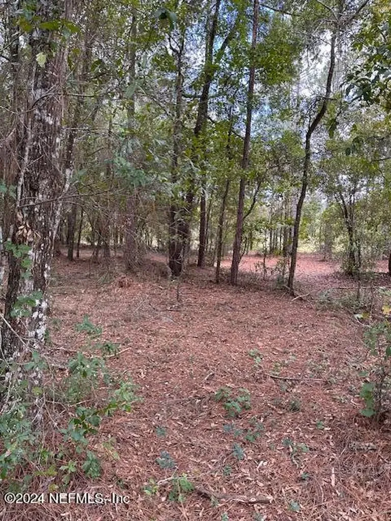 000-01 SE 159th Lane Umatilla FL 32784