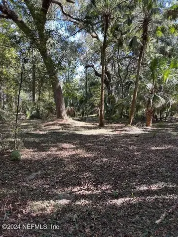 000-01 SE 159th Lane Umatilla FL 32784